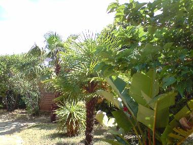 Villa in Travo (Haute-Corse) oder Ferienwohnung oder Ferienhaus