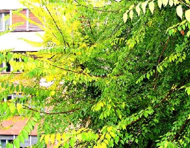 Ferienwohnung in Zagreb (Zagrebacka) oder Ferienwohnung oder Ferienhaus