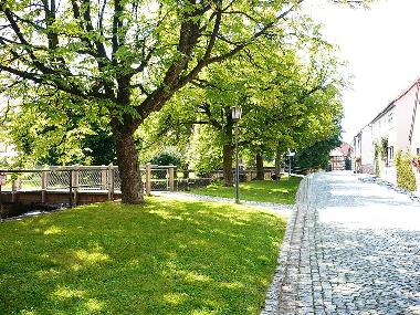 Kastanienallee in Sondheim Rh�n. Ortsmitte, am Bach entlang.
