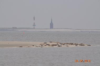 Wangerooge von der F�hre aus (Westturm, Neuer Leuchtturm, Seehundb�nke) 