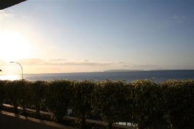 Ferienwohnung in Cani�o (Madeira) oder Ferienwohnung oder Ferienhaus