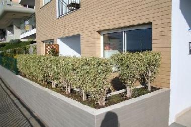 Ferienwohnung in Cani�o (Madeira) oder Ferienwohnung oder Ferienhaus