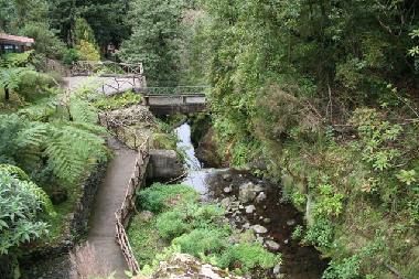 Ferienwohnung in Cani�o (Madeira) oder Ferienwohnung oder Ferienhaus