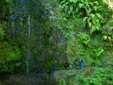Ferienwohnung in Cani�o (Madeira) oder Ferienwohnung oder Ferienhaus
