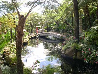 Ferienwohnung in Cani�o (Madeira) oder Ferienwohnung oder Ferienhaus