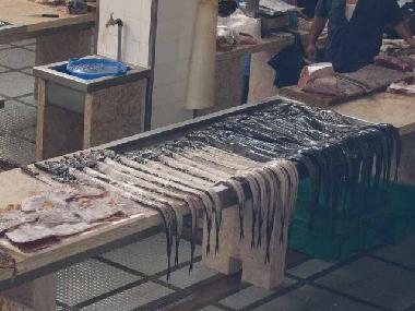 Ferienwohnung in Cani�o (Madeira) oder Ferienwohnung oder Ferienhaus