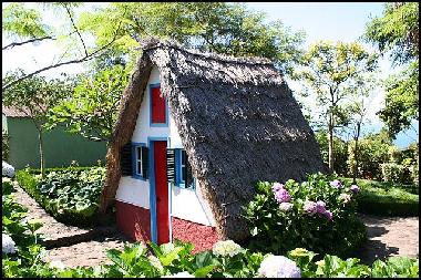 Ferienwohnung in Cani�o (Madeira) oder Ferienwohnung oder Ferienhaus