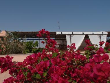Ferienhaus in Marrakech (Marrakech) oder Ferienwohnung oder Ferienhaus