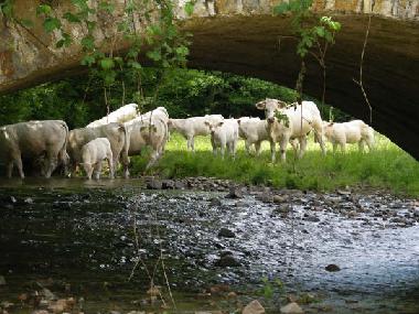 Ferienwohnung in matour (Sa�ne-et-Loire) oder Ferienwohnung oder Ferienhaus