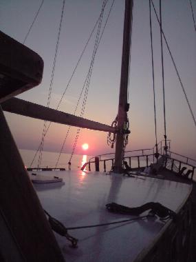 Boot in barcars (Pyrnes-Orientales) oder Ferienwohnung oder Ferienhaus