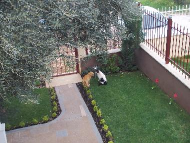 Ferienwohnung in Nea Makri (Attiki) oder Ferienwohnung oder Ferienhaus