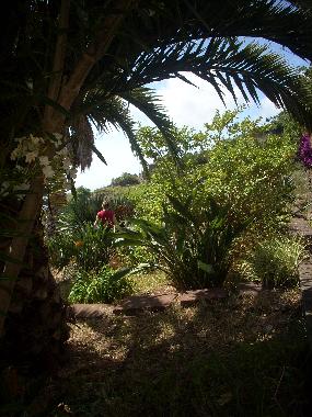 im Palmengarten, kann man sicher ein Lieblingsplatz finden
