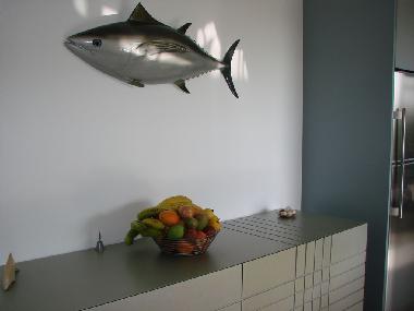 Villa in Paul do Mar, CALHETA (Madeira) oder Ferienwohnung oder Ferienhaus