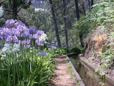 Villa in Paul do Mar, CALHETA (Madeira) oder Ferienwohnung oder Ferienhaus