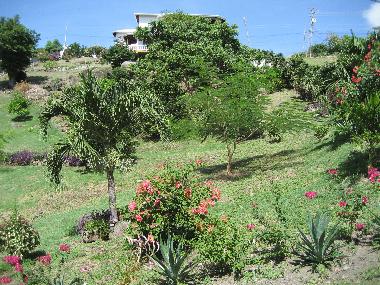Villa in St George
