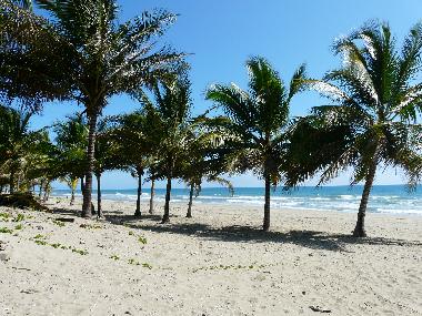 Traumhafter leerer Strand, 10 Min. Fussweg 