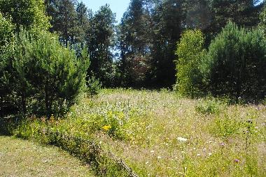 Der Garden