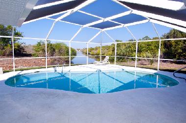 Pool unter Fliegengitter