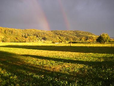 Ausssicht Wohnzimmer