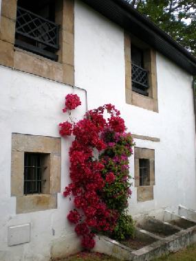 Ferienhaus in Comillas (Cantabria) oder Ferienwohnung oder Ferienhaus