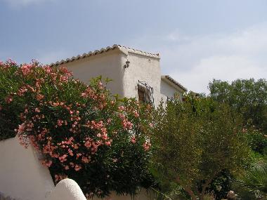 Ferienwohnung in Cumbre del Sol (Alicante / Alacant) oder Ferienwohnung oder Ferienhaus