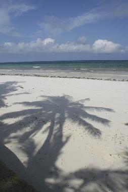 Ferienwohnung in Diani  (Coast) oder Ferienwohnung oder Ferienhaus