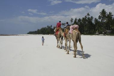 Ferienwohnung in Diani  (Coast) oder Ferienwohnung oder Ferienhaus