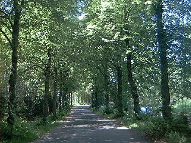 Ferienhaus in Mariannelud (Smaland) oder Ferienwohnung oder Ferienhaus