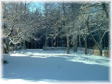 Ferienhaus in Mariannelud (Smaland) oder Ferienwohnung oder Ferienhaus
