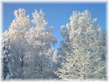 Ferienhaus in Mariannelud (Smaland) oder Ferienwohnung oder Ferienhaus