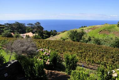 Ferienhaus in Ponta do Pargo (Madeira) oder Ferienwohnung oder Ferienhaus