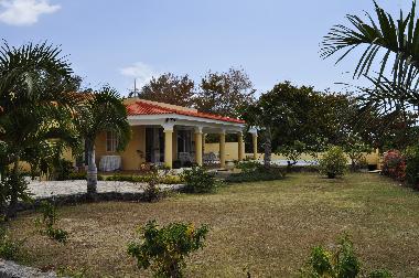 Villa in Black River (Black River) oder Ferienwohnung oder Ferienhaus