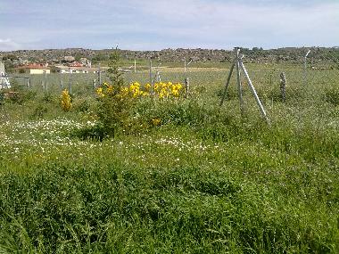 Ferienhaus in Muopepe (vila) oder Ferienwohnung oder Ferienhaus