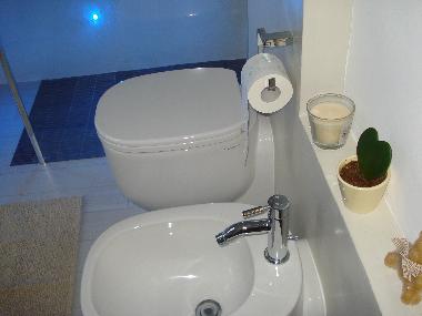 Ferienwohnung in Torino (Torino) oder Ferienwohnung oder Ferienhaus