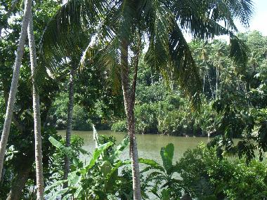 Pension in Weligama-Pelena (Galle) oder Ferienwohnung oder Ferienhaus