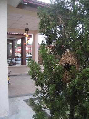 Ferienhaus in langkawi island (Kedah) oder Ferienwohnung oder Ferienhaus