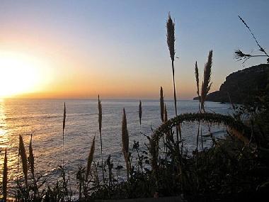 Ferienhaus in Ribeira Brava (Madeira) oder Ferienwohnung oder Ferienhaus