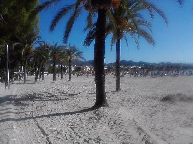 Ferienwohnung in Pto.Alcudia (Mallorca) oder Ferienwohnung oder Ferienhaus