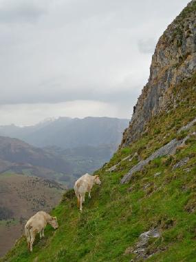 Ferienhaus in Lourdes Ossun-ez-Angles (Hautes-Pyr�n�es) oder Ferienwohnung oder Ferienhaus