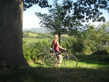 Ferienhaus in Lourdes Ossun-ez-Angles (Hautes-Pyr�n�es) oder Ferienwohnung oder Ferienhaus