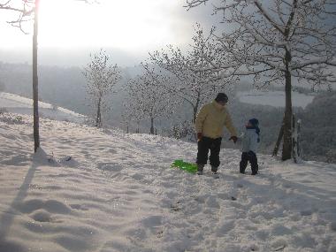 Ferienhaus in Lourdes Ossun-ez-Angles (Hautes-Pyr�n�es) oder Ferienwohnung oder Ferienhaus