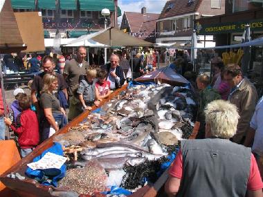 Ferienhaus in Egmond aan Zee (Noord-Holland) oder Ferienwohnung oder Ferienhaus