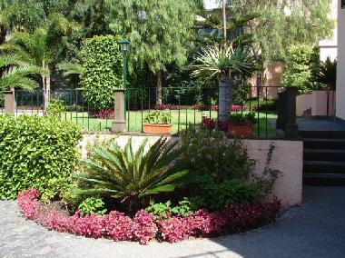 Villa in Funchal (Madeira) oder Ferienwohnung oder Ferienhaus