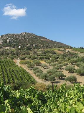 Hotel in Heraklion (Irakleio) oder Ferienwohnung oder Ferienhaus