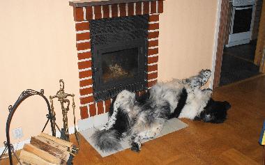 Ferienhaus in Lnneberga (Smaland) oder Ferienwohnung oder Ferienhaus