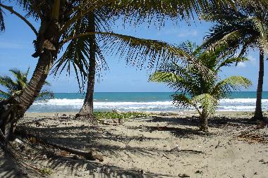 Hotel in Cabarete (Puerto Plata) oder Ferienwohnung oder Ferienhaus