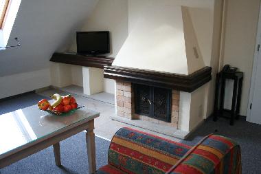 Villa in Marienbad (Marianske Lazne) (Karlovarsky Kraj) oder Ferienwohnung oder Ferienhaus