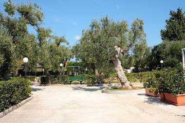 Ferienwohnung in Torre Canne (Brindisi) oder Ferienwohnung oder Ferienhaus