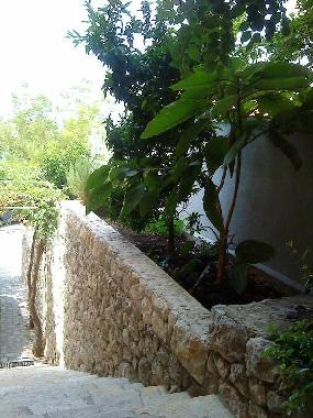 Ferienwohnung in Makarska (Splitsko-Dalmatinska) oder Ferienwohnung oder Ferienhaus