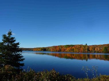 Ferienwohnung in Ville de Qu�bec (Quebec) oder Ferienwohnung oder Ferienhaus